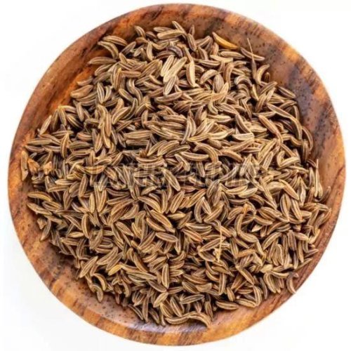 Brown Cumin Seeds Brown Cumin Seeds