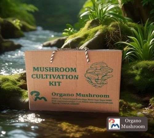 Mushroom Cultivation Kit