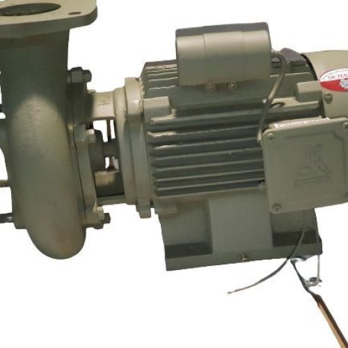Cast Iron Monoblock Pump Set