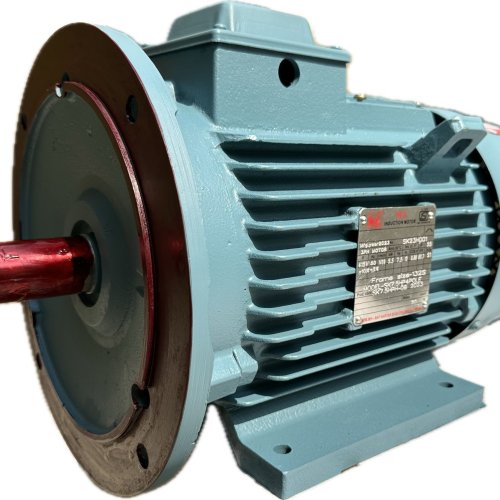 Foot Cum Flange Mounting Motor