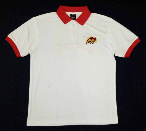 Business Promotion Printed T Shirt