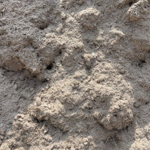 Agro Sugarcane Bagasse