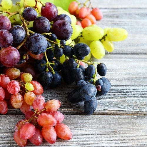 Fresh Grapes