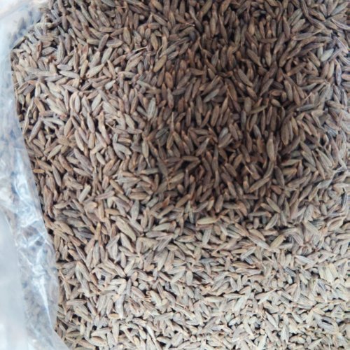 Cumin Seeds
