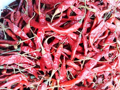 Dry Red Chilli