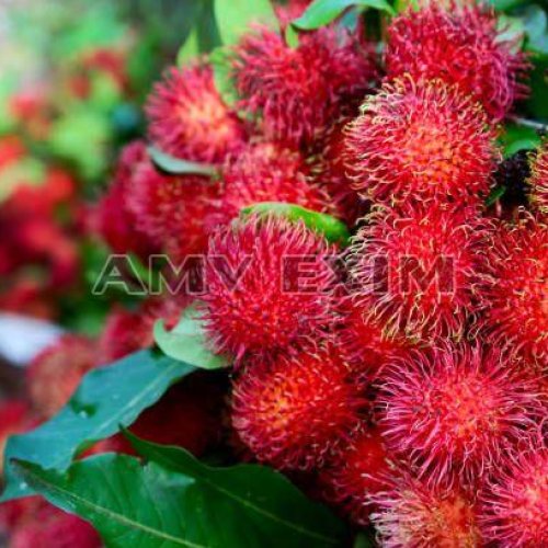 Fresh Fruits