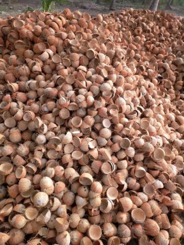 Dried Coconut Shell Halves