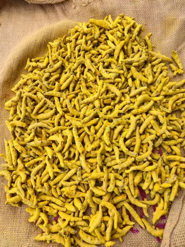 Double Polished Turmeric Finger