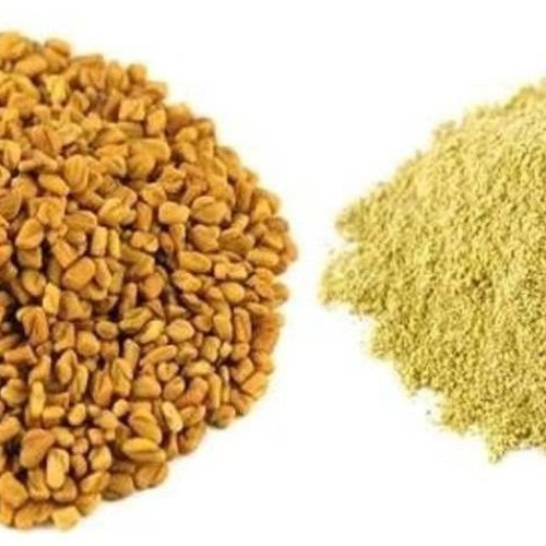 Fenugreek Powder