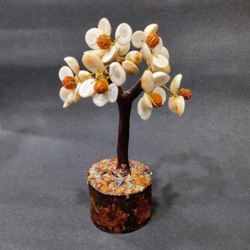 Gomti Chakra with Rudraksh Tree