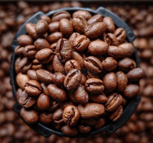 Premium Coffee Beans