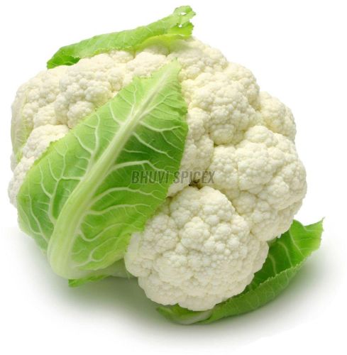 White A Grade Fresh Cauliflower
