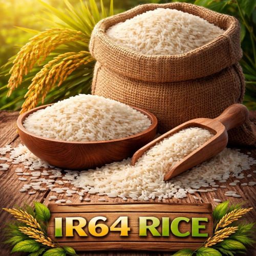 IR 64 Rice