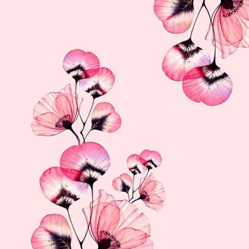 Digital Printed Vetican Fabric