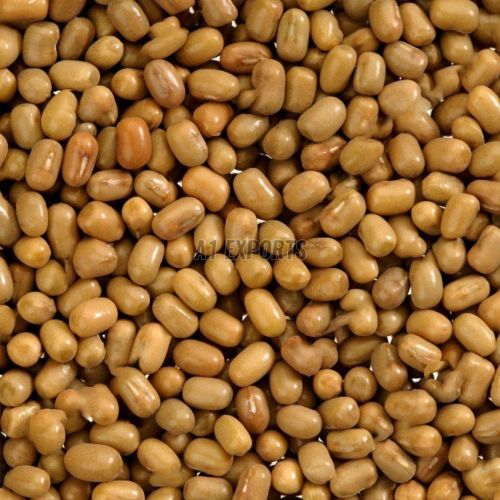 A Grade Moth Beans