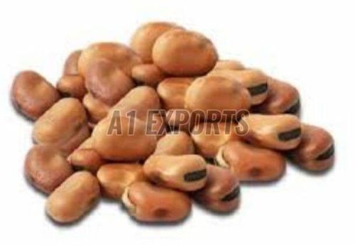 Faba Beans