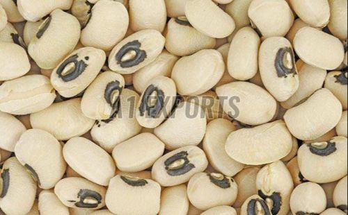 Field Beans