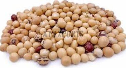 High Protein Bambara Beans