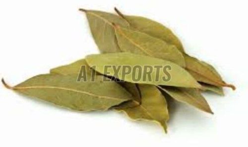 Natural Bay Leaf