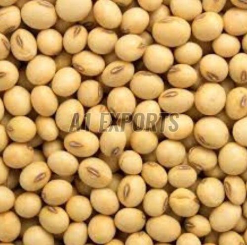 Natural Soybean Seeds