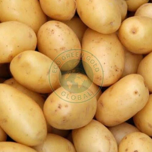 Brown Fresh Kufri Jyoti Potato Brown Fresh Kufri Jyoti Potato