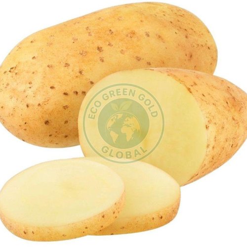 Brown Kufri Chandramukhi Potato Brown Kufri Chandramukhi Potato