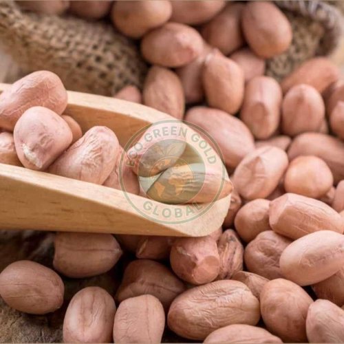 Java Groundnuts Java Groundnuts