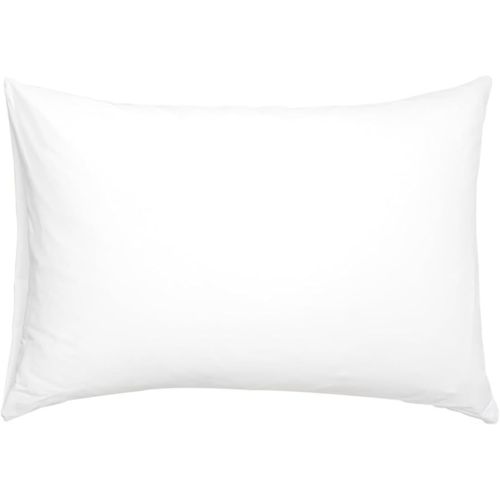 13x18 Inch Filled Pillow