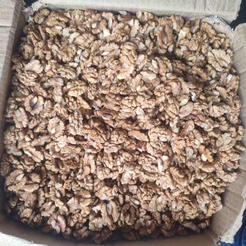 Light Half Walnut Kernels