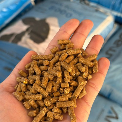 Cattle Feed Pellets
