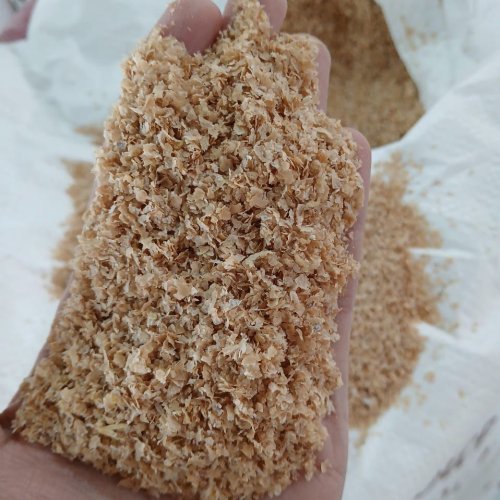 Wheat Bran