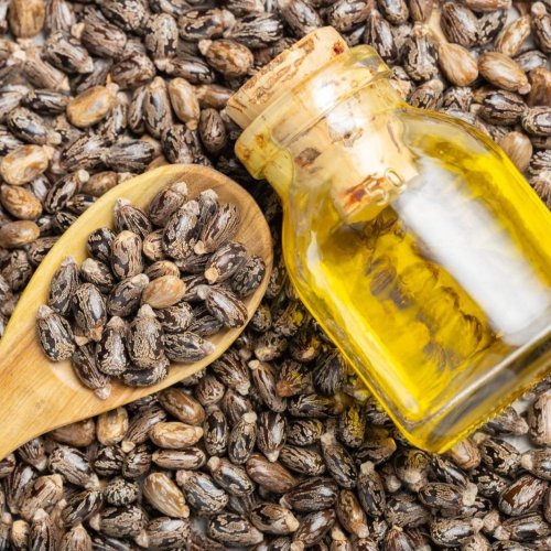 Organic Castor Oil