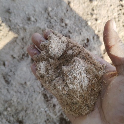 Wood Dust