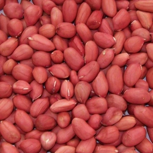 Bold Peanut Kernels