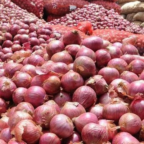 Nasik Red Onion Nasik Red Onion