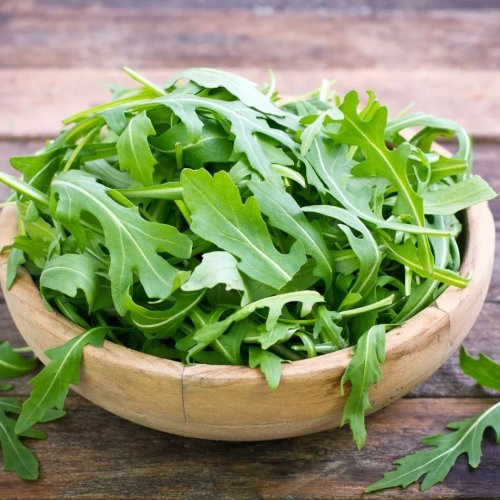 Fresh Arugula Leaves