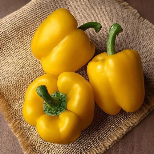 Fresh Yellow Capsicum Fresh Yellow Capsicum