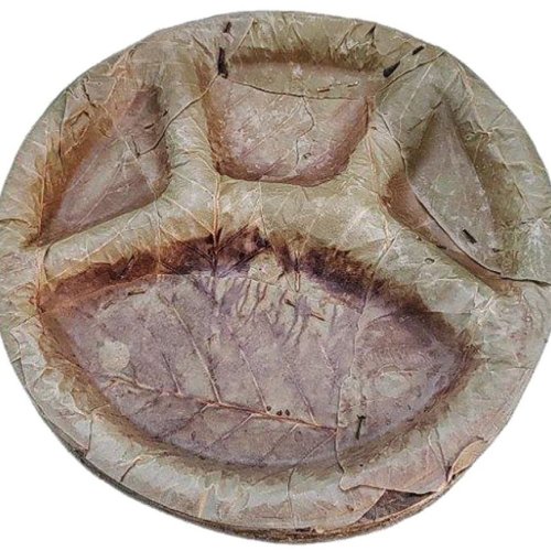 Plain Sal Leaf Plate