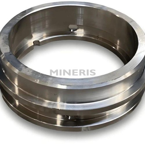 Slurry Pump Lantern Ring