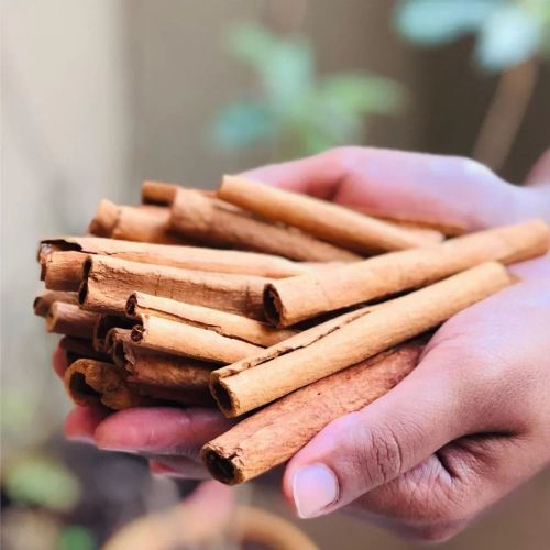 Cinnamon Stick
