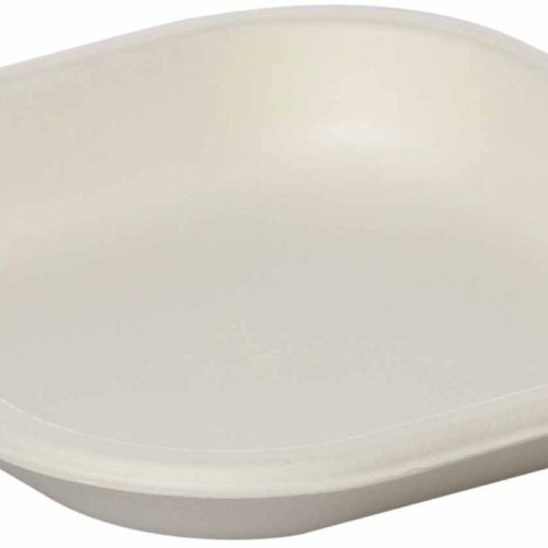 10 Inch Square Sugarcane Bagasse Biodegradable Disposable Plate