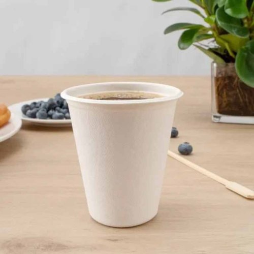 10 OZ Sugarcane Bagasse Biodegradable Disposable Cup