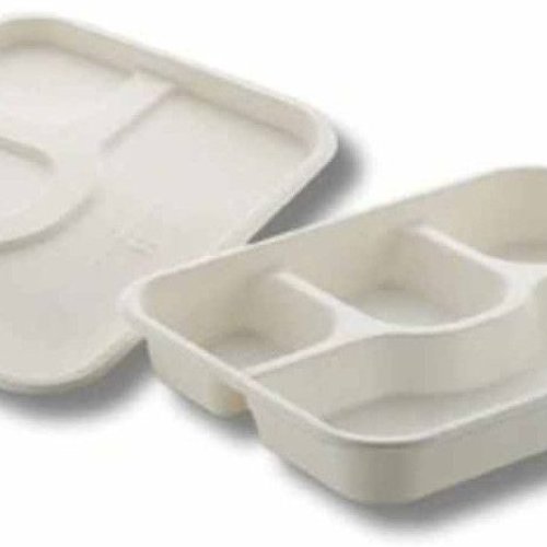 4 Compartment Sugarcane Bagasse Biodegradable Disposable Meal Tray With Lid