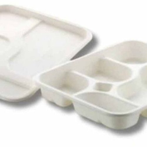 5 Compartment Sugarcane Bagasse Biodegradable Disposable Meal Tray With Lid