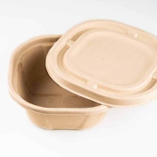 500ml Sugarcane Bagasse Biodegradable Disposable Food Container with Lid