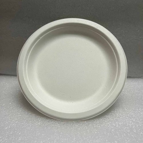 6 Inch Round Sugarcane Bagasse Biodegradable Disposable Plate