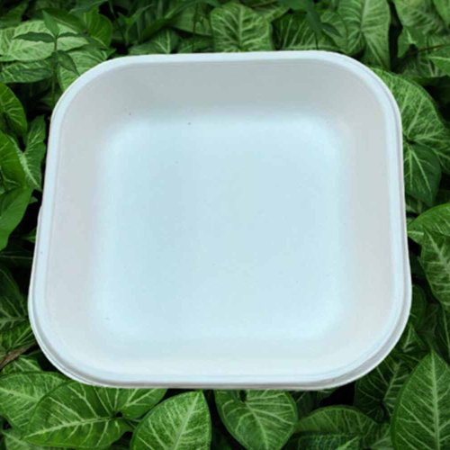 6 Inch Square Sugarcane Bagasse Biodegradable Disposable Plate