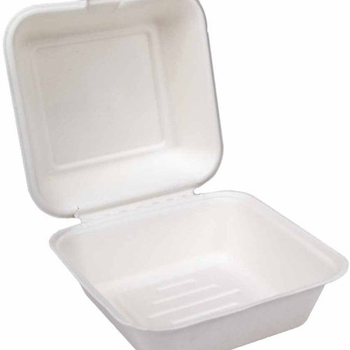 6x6 Inch Sugarcane Bagasse Biodegradable Disposable Clamshell Box