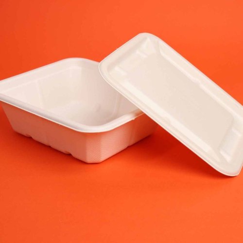 750ml Sugarcane Bagasse Biodegradable Disposable Bowl with Lid