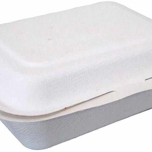 7x5 Inch Sugarcane Bagasse Biodegradable Disposable Clamshell Box